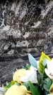 Захоронение ID 6341432