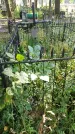 Захоронение ID 6341474