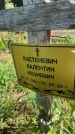 Захоронение ID 6341547