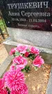 Захоронение ID 6341815