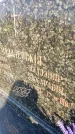 Захоронение ID 6341940