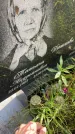Захоронение ID 6341962