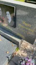 Захоронение ID 6342090