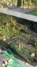 Захоронение ID 6342109