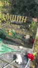 Захоронение ID 6342111