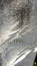Захоронение ID 6342152