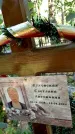 Захоронение ID 6342153