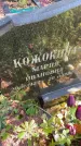 Захоронение ID 6342211