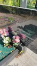 Захоронение ID 6342224