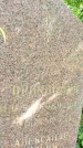 Захоронение ID 6342283