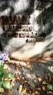 Захоронение ID 6342364