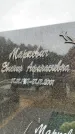 Захоронение ID 6342484