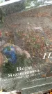 Захоронение ID 6342511