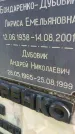 Захоронение ID 6342607