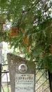 Захоронение ID 6342681