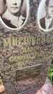 Захоронение ID 6342786