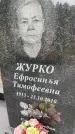 Захоронение ID 6342883