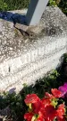 Захоронение ID 6342980