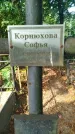 Захоронение ID 6343064
