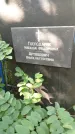 Захоронение ID 6343127