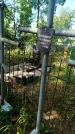 Захоронение ID 6343132