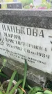 Захоронение ID 6343137