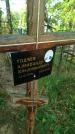 Захоронение ID 6343143
