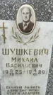 Захоронение ID 6343188