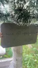 Захоронение ID 6343207