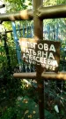 Захоронение ID 6343365