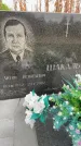 Захоронение ID 6343482