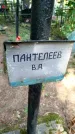 Захоронение ID 6343497