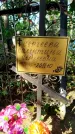 Захоронение ID 6343510