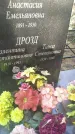 Захоронение ID 6343568