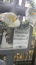 Захоронение ID 6343576