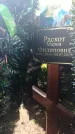 Захоронение ID 6343586