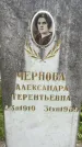 Захоронение ID 6343632