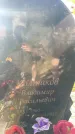 Захоронение ID 6343961