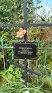 Захоронение ID 6344108