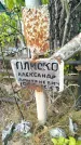 Захоронение ID 6344111