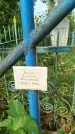 Захоронение ID 6344154