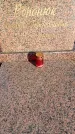 Захоронение ID 6344753