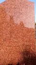 Захоронение ID 6344792