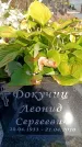 Захоронение ID 6344975