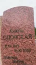Захоронение ID 6345016