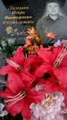 Захоронение ID 6345266