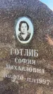 Захоронение ID 6345385