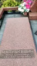 Захоронение ID 6345556