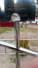 Захоронение ID 6345595