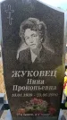 Захоронение ID 6345679